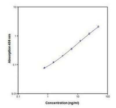 ELISA: CD28 ELISA Kit [Biotin] [NBP1-91279]